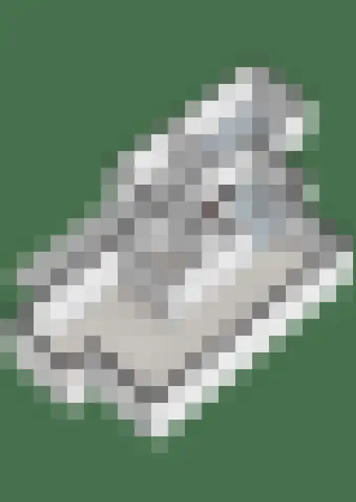 Spade 8 Vriezenveen thumbnail 43