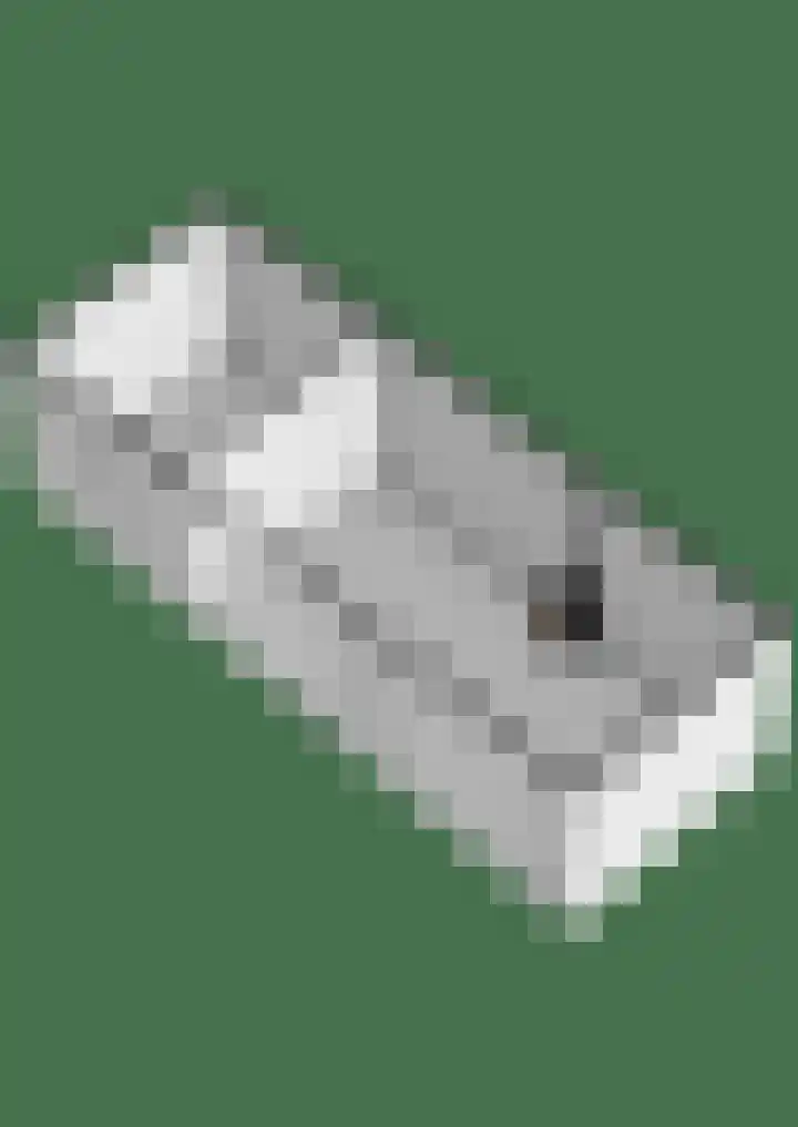 Spade 8 Vriezenveen thumbnail 45