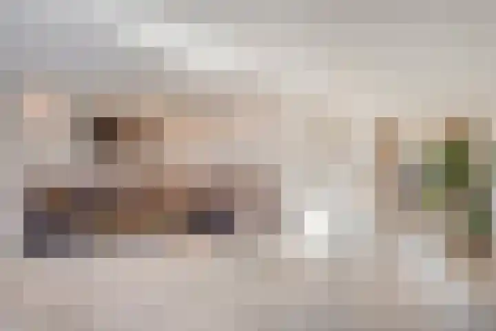 Spade 8 Vriezenveen thumbnail 6