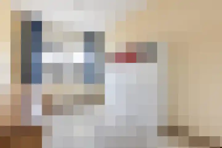 Spadelaan 258 Apeldoorn thumbnail 22