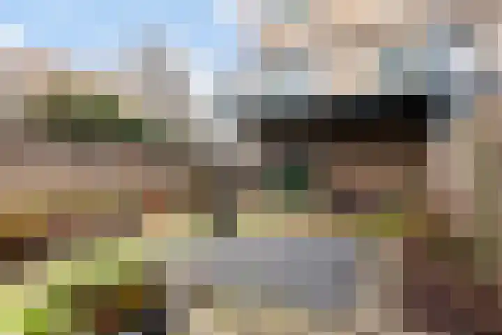 Spadelaan 258 Apeldoorn thumbnail 30