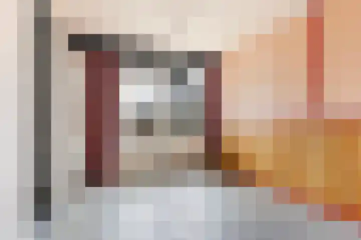 Spadelaan 258 Apeldoorn thumbnail 5