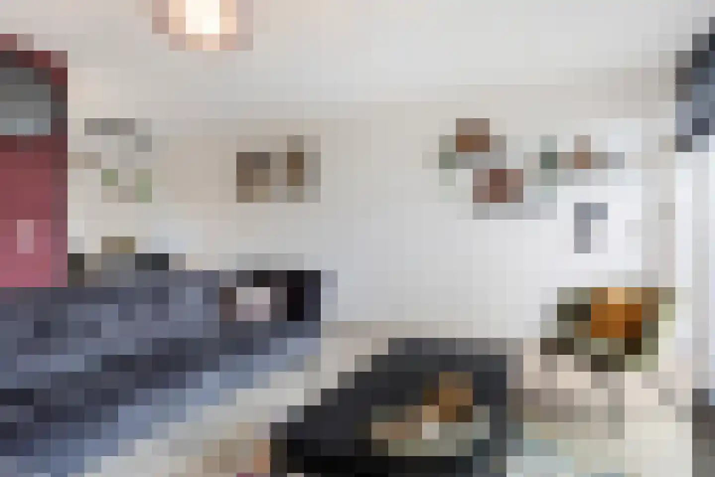 Spadelaan 296 Apeldoorn thumbnail 23