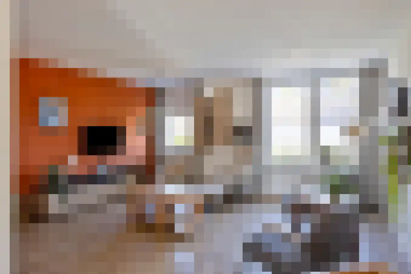 Spadelaan 30 Apeldoorn thumbnail 21