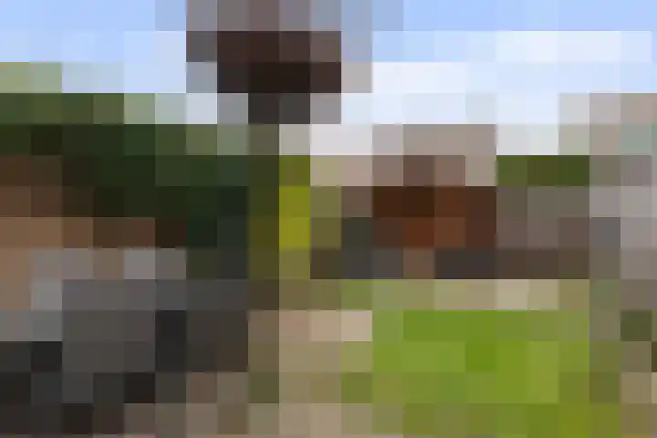 Spadelaan 34 Apeldoorn thumbnail 25
