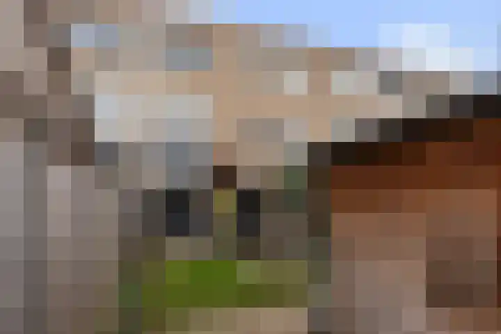 Spadelaan 34 Apeldoorn thumbnail 26