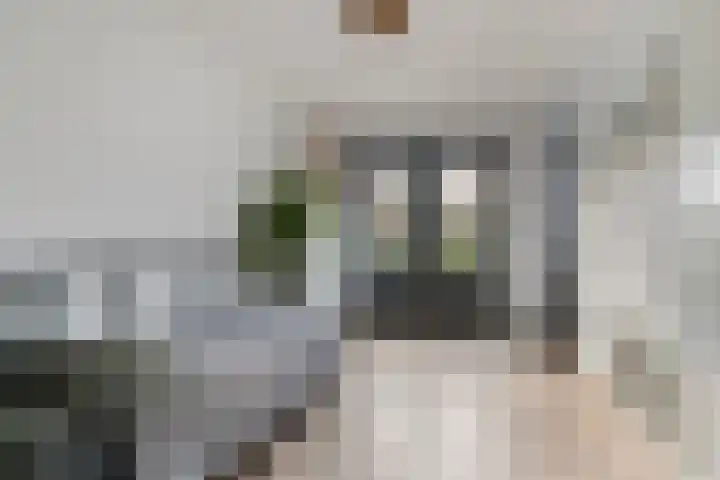 Spadelaan 34 Apeldoorn thumbnail 4