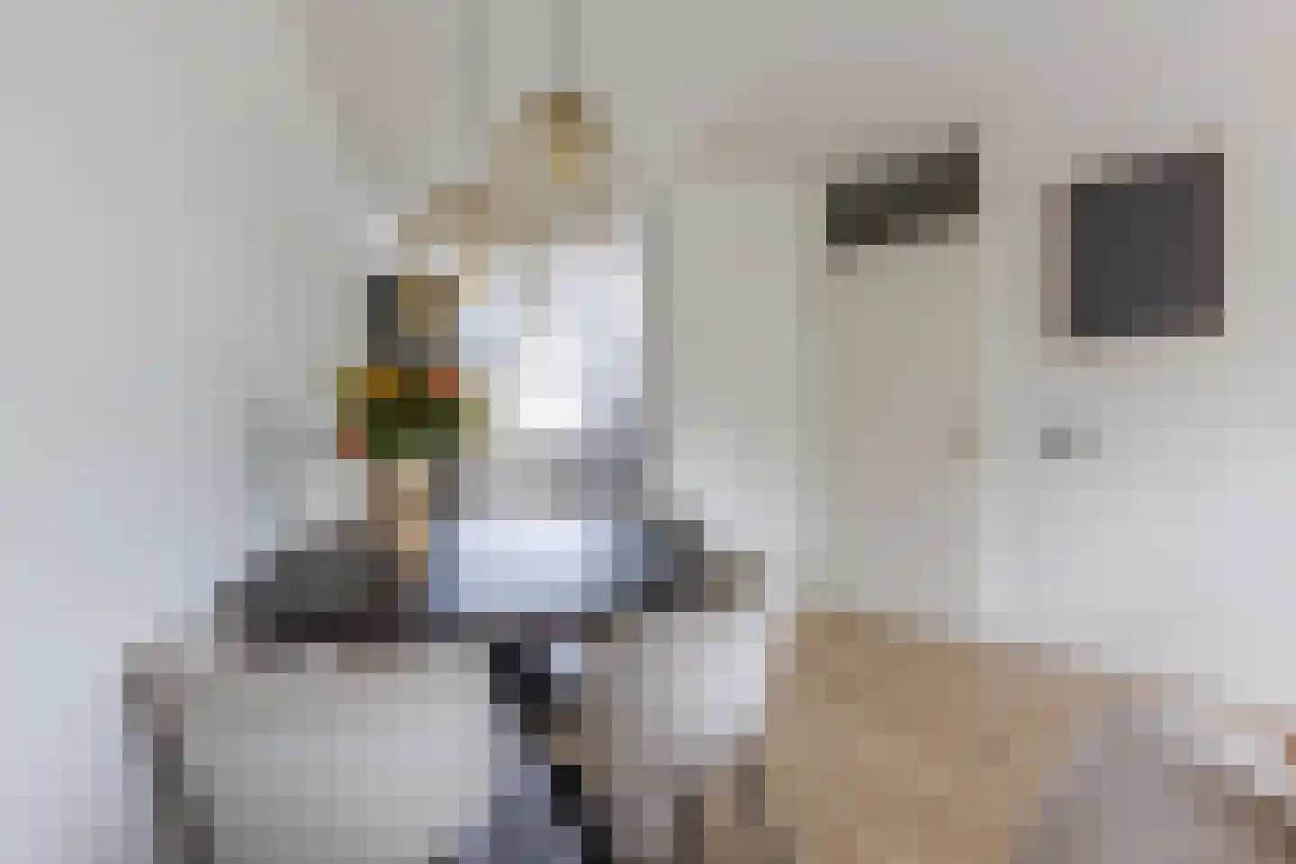 Spadelaan 60 Apeldoorn thumbnail 11