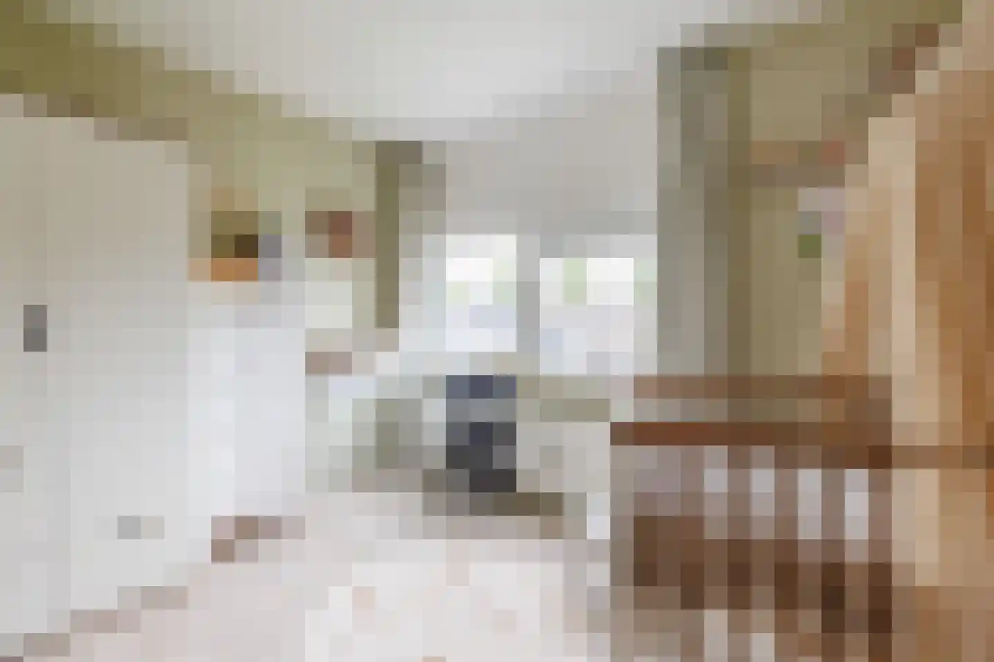 Spadelaan 60 Apeldoorn thumbnail 19