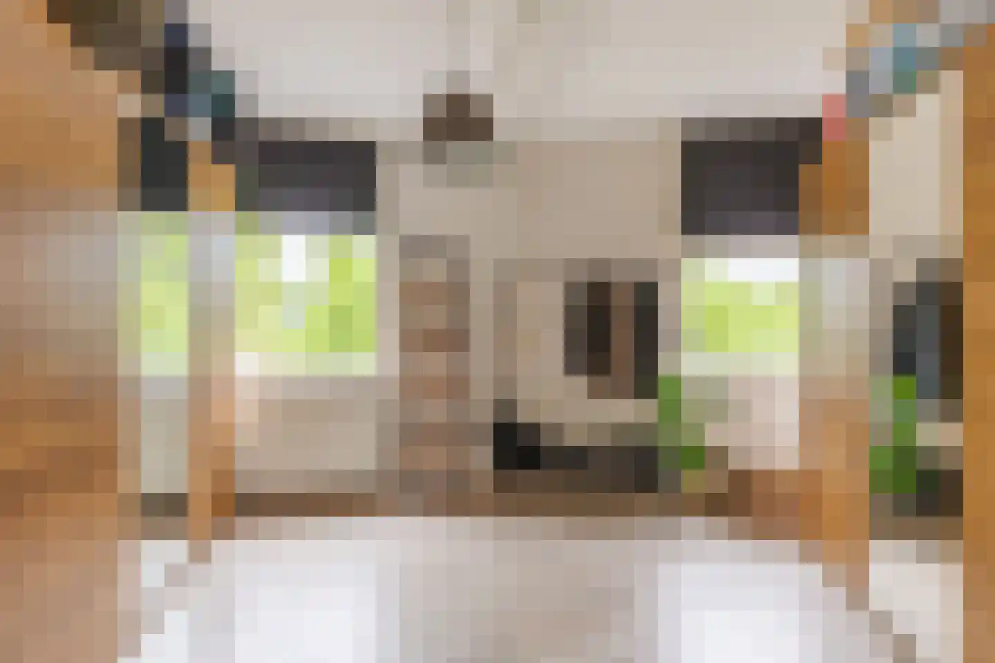 Spadelaan 60 Apeldoorn thumbnail 20