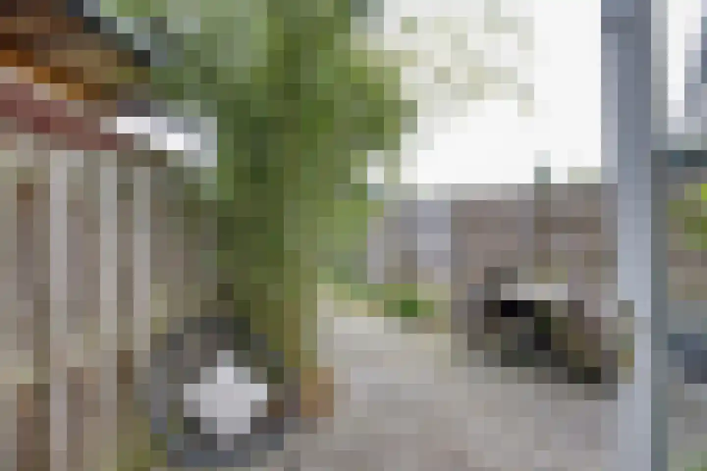 Spadelaan 60 Apeldoorn thumbnail 23