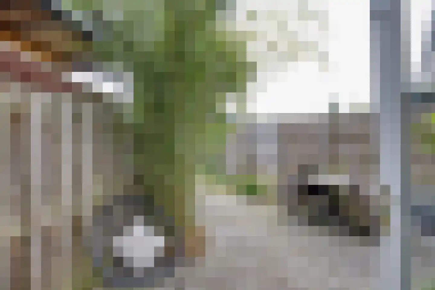 Spadelaan 60 Apeldoorn thumbnail 23