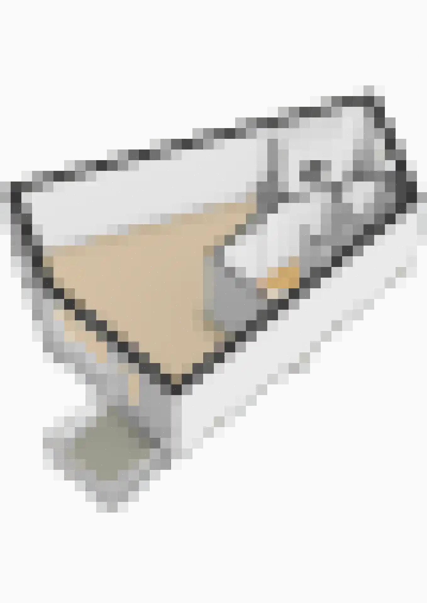 Spadelaan 60 Apeldoorn thumbnail 36