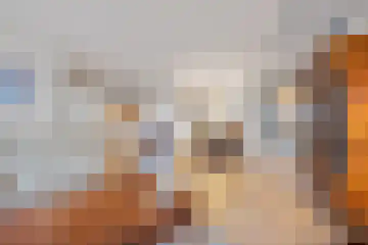 Spadesteekstraat 36 Druten thumbnail 18
