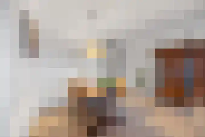 Spadesteekstraat 36 Druten thumbnail 20