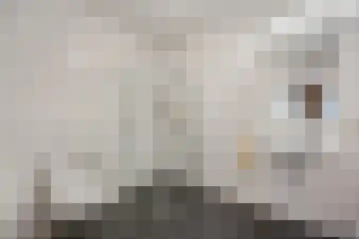 Spadesteekstraat 36 Druten thumbnail 25