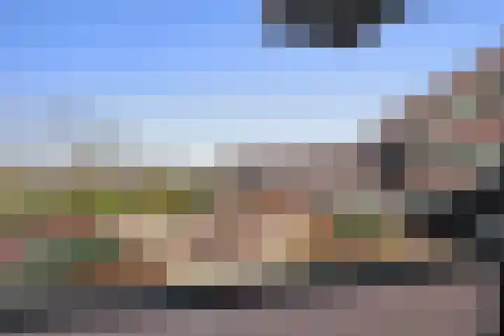 Spadesteekstraat 36 Druten thumbnail 30