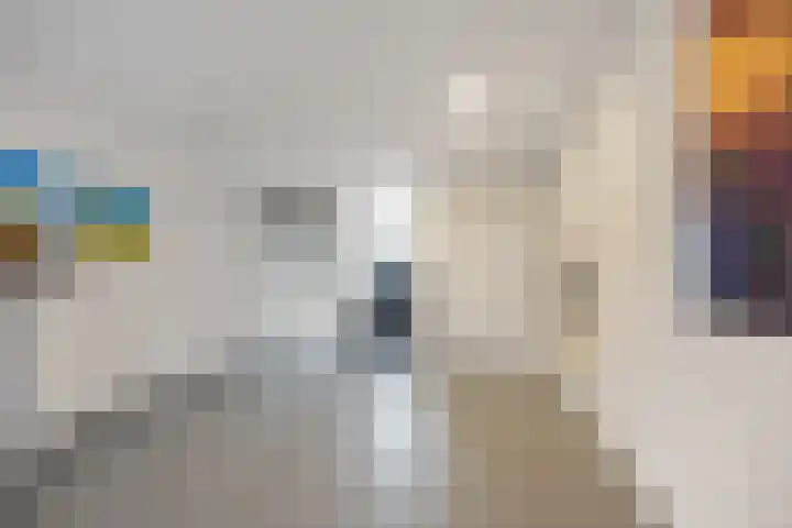 Spadesteekstraat 36 Druten thumbnail 31