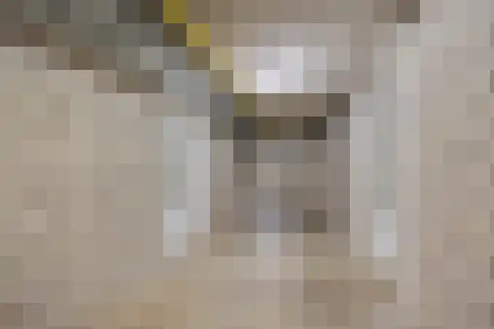 Spadesteekstraat 36 Druten thumbnail 32