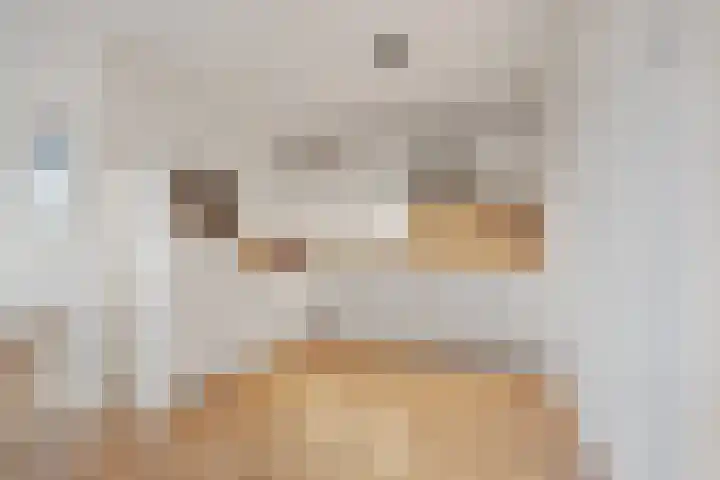 Spadesteekstraat 36 Druten thumbnail 4