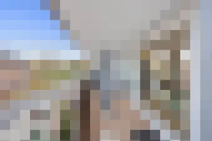 Spadesteekstraat 36 Druten thumbnail 8