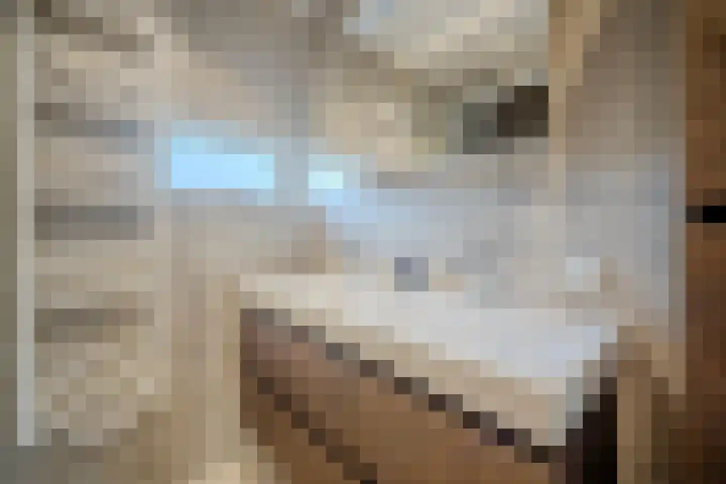 Spadestraat 1 Oosterhout thumbnail 32