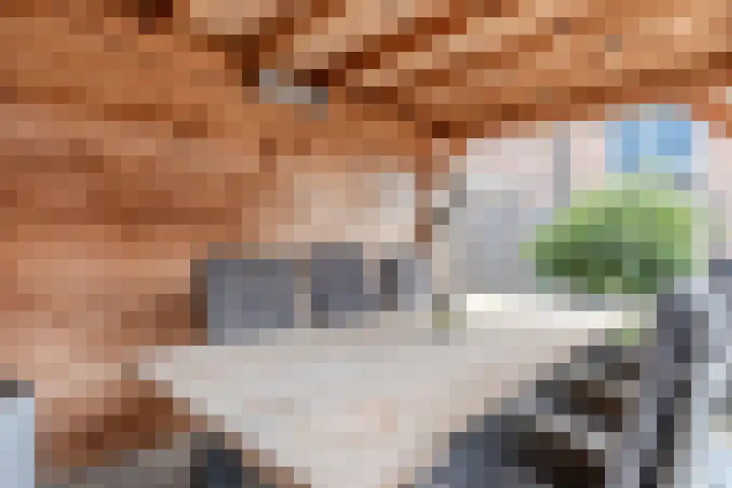 Spadestraat 1 Oosterhout thumbnail 39