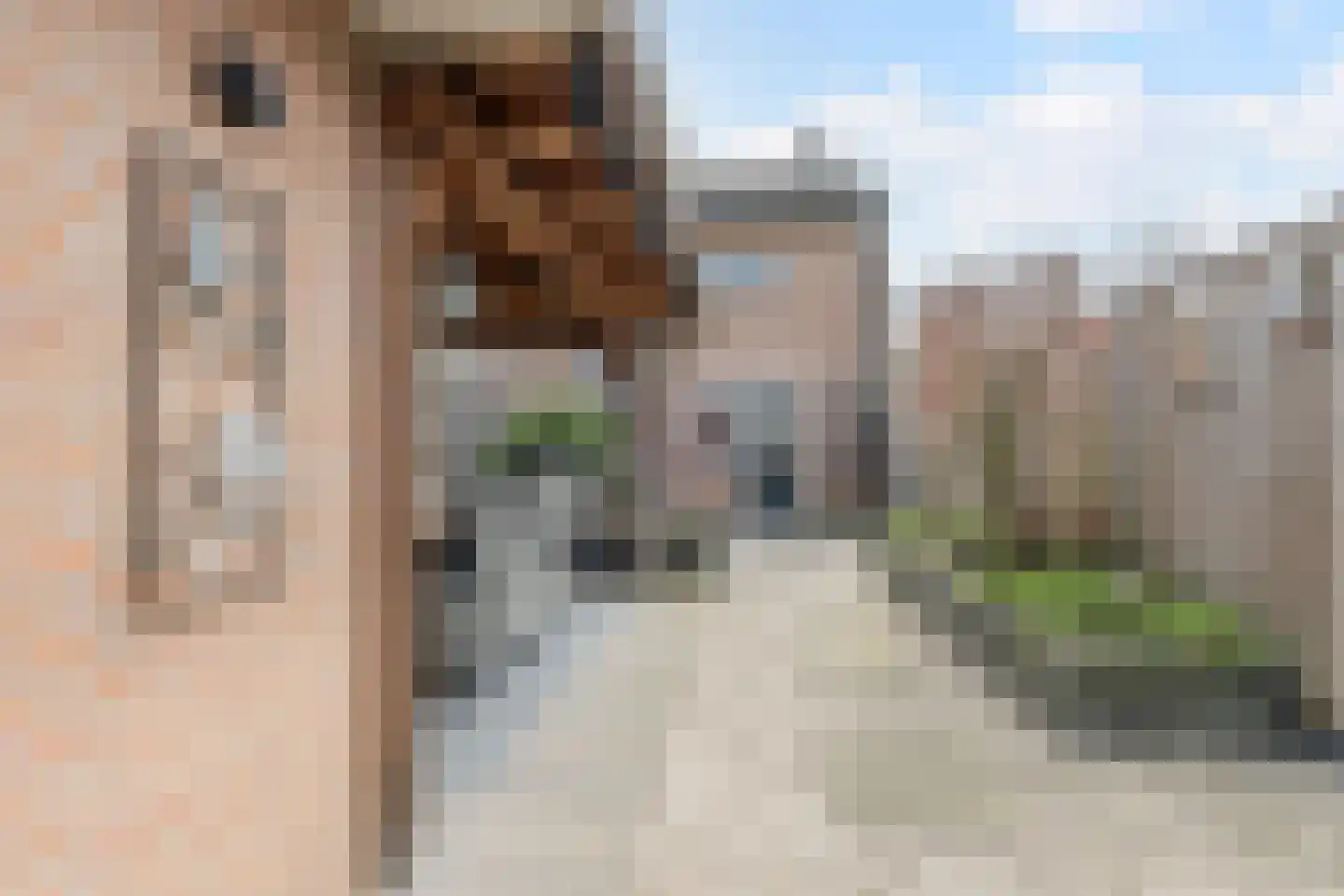 Spadestraat 1 Oosterhout thumbnail 41