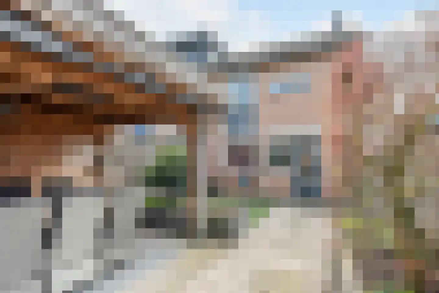 Spadestraat 1 Oosterhout thumbnail 42