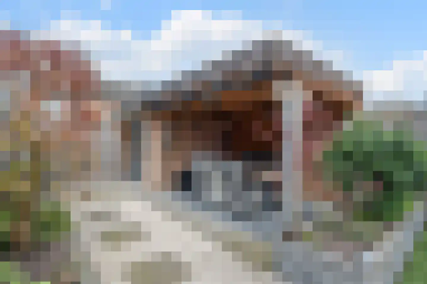 Spadestraat 1 Oosterhout thumbnail 43