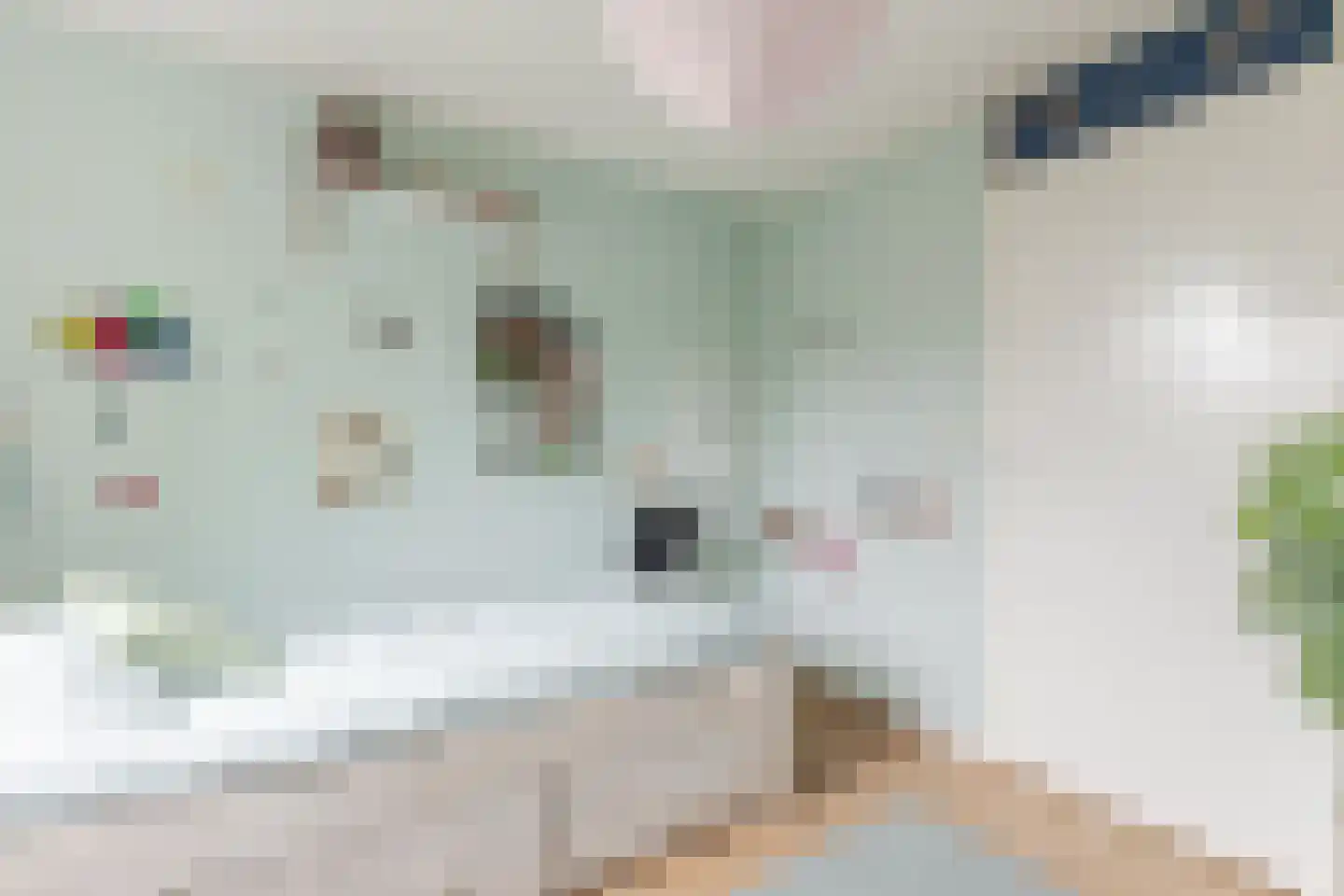 Spadestraat 26 Alkmaar thumbnail 33