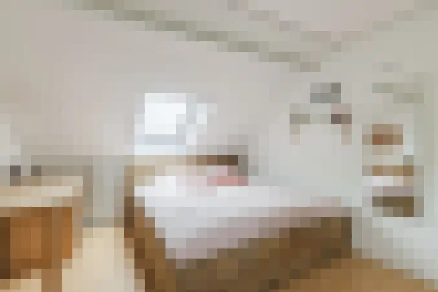 Spadestraat 26 Alkmaar thumbnail 46