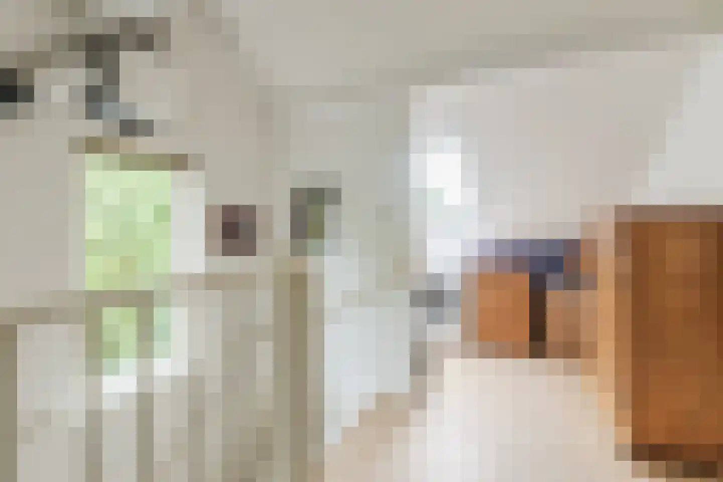 Spadestraat 26 Alkmaar thumbnail 52