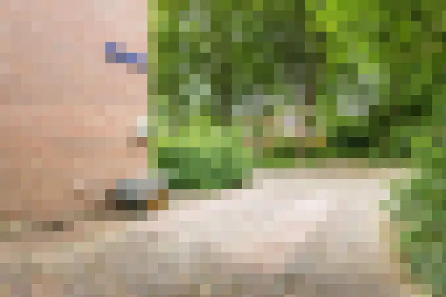 Spadestraat 26 Alkmaar thumbnail 6