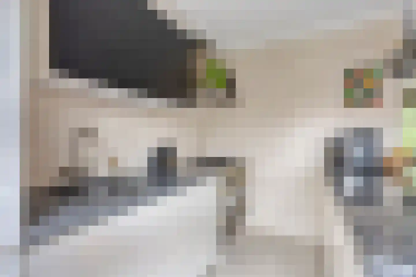 Spadestraat 28 Alkmaar thumbnail 13