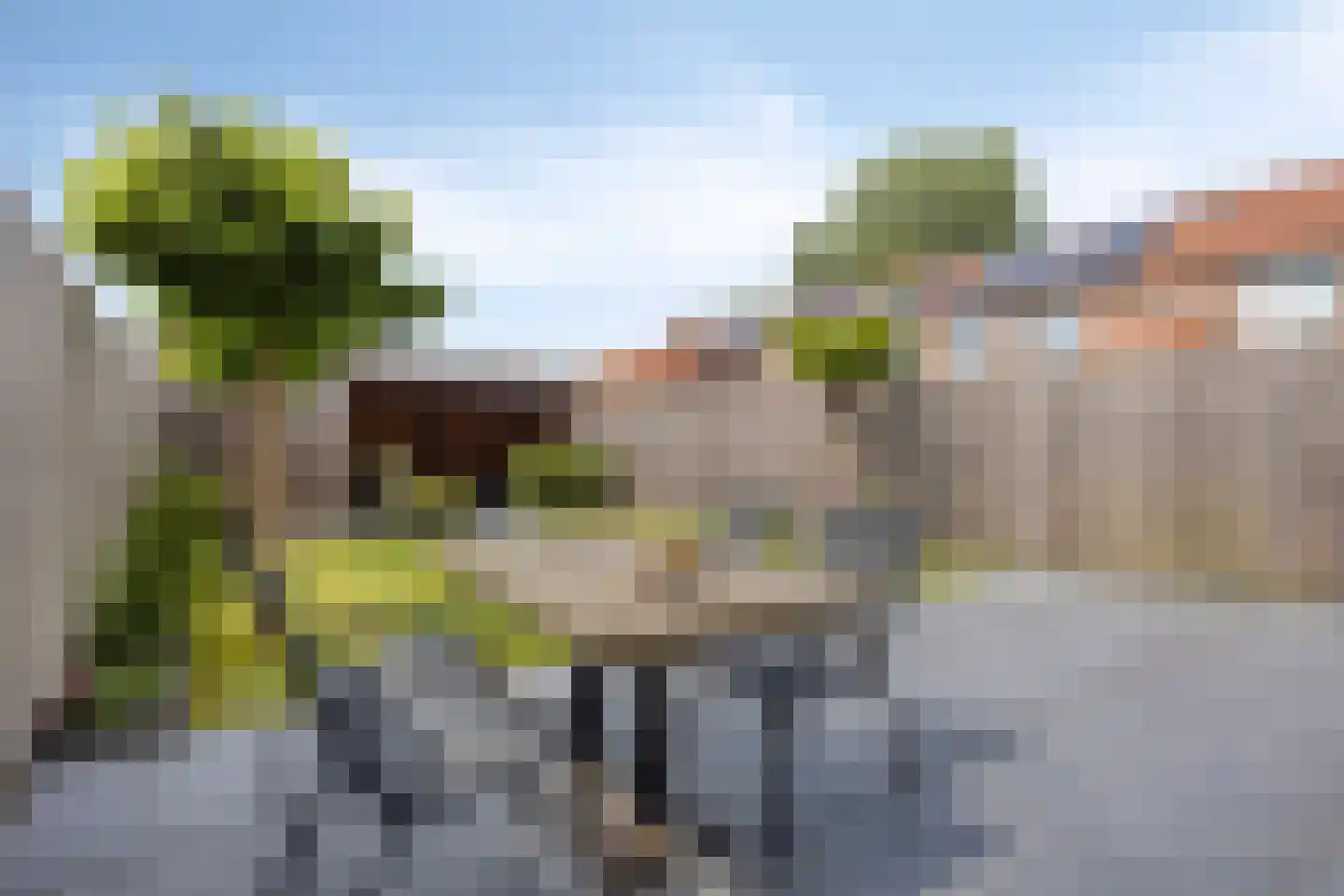 Spadestraat 28 Alkmaar thumbnail 15