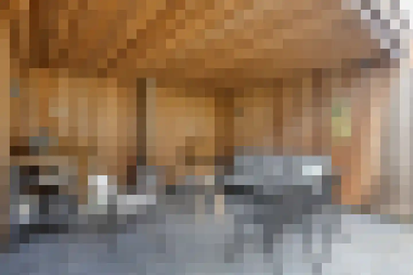 Spadestraat 28 Alkmaar thumbnail 19