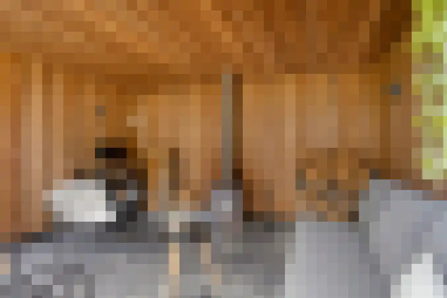 Spadestraat 28 Alkmaar thumbnail 20