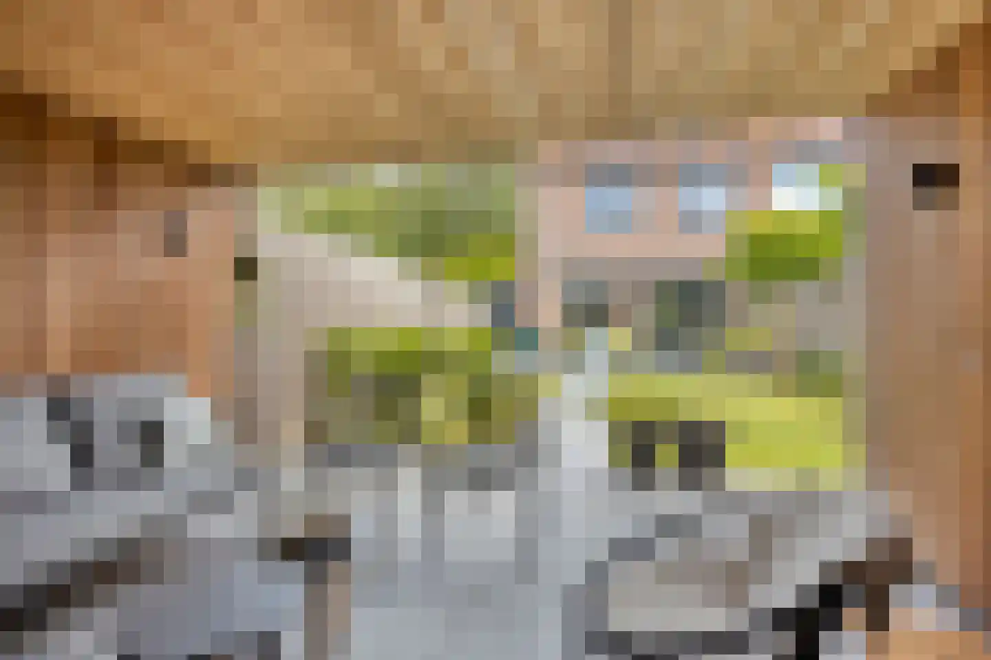 Spadestraat 28 Alkmaar thumbnail 21