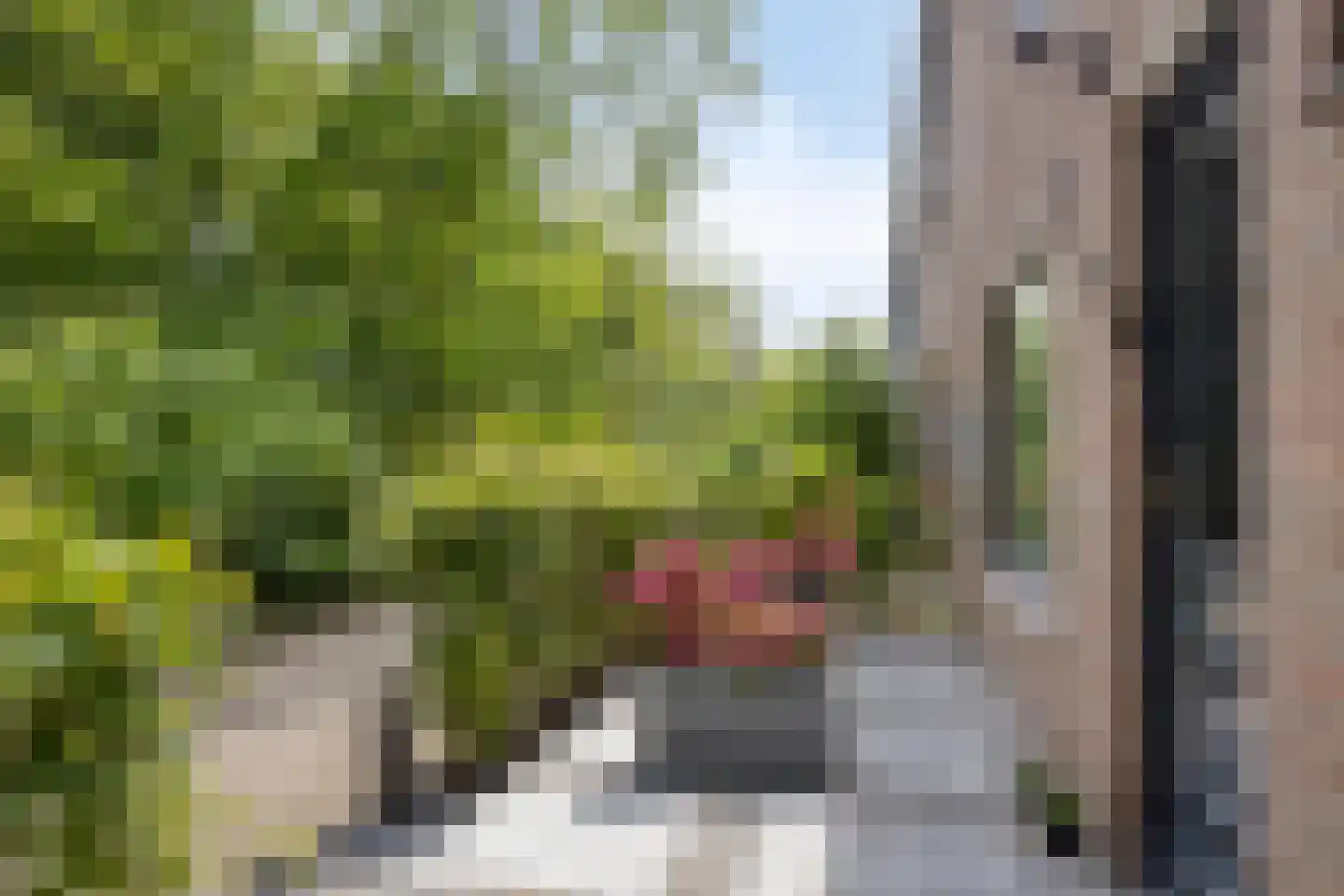 Spadestraat 28 Alkmaar thumbnail 5