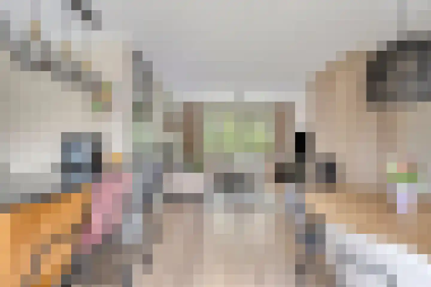 Spadestraat 28 Alkmaar thumbnail 7
