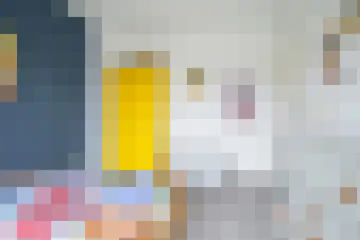 Spadestraat 3 Breda thumbnail 33