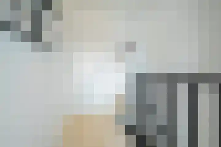 Spadestraat 3 Breda thumbnail 42