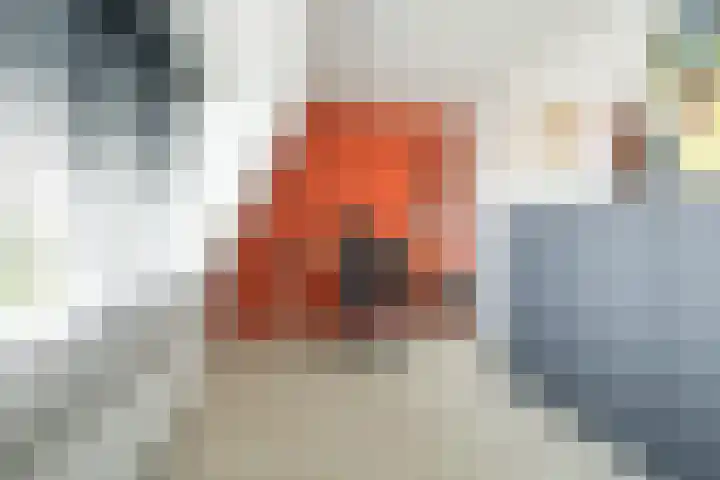 Spadestraat 3 Breda thumbnail 43