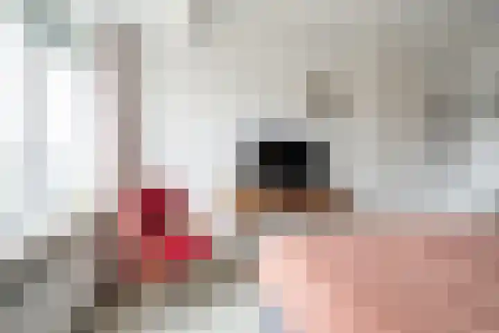 Spadestraat 3 Breda thumbnail 48