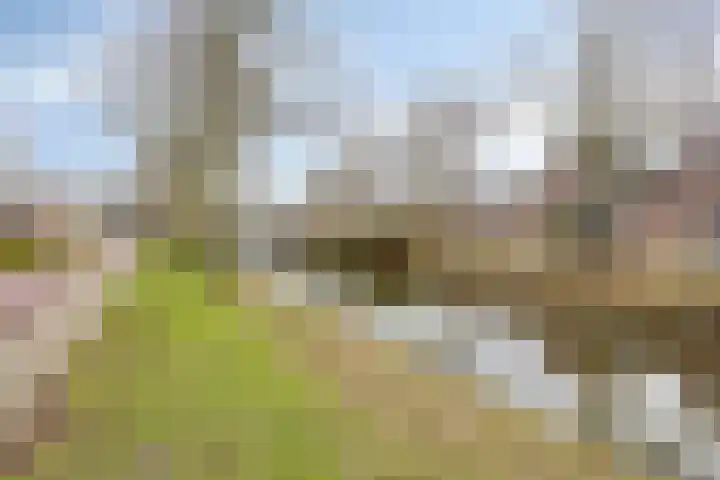 Spadestraat 33 Purmerend thumbnail 33