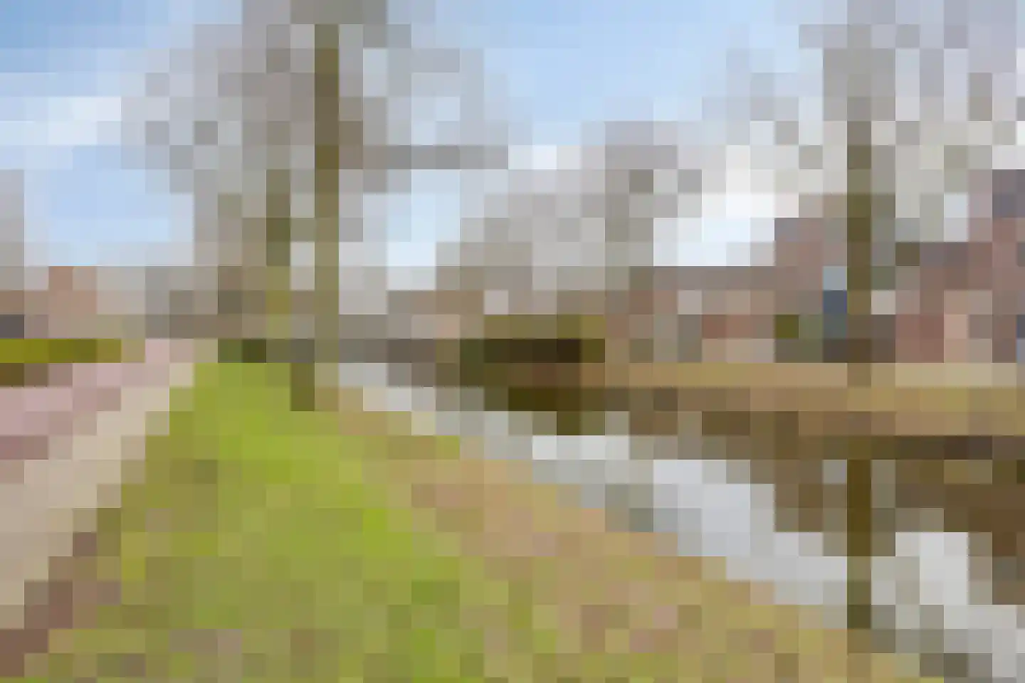 Spadestraat 33 Purmerend thumbnail 33
