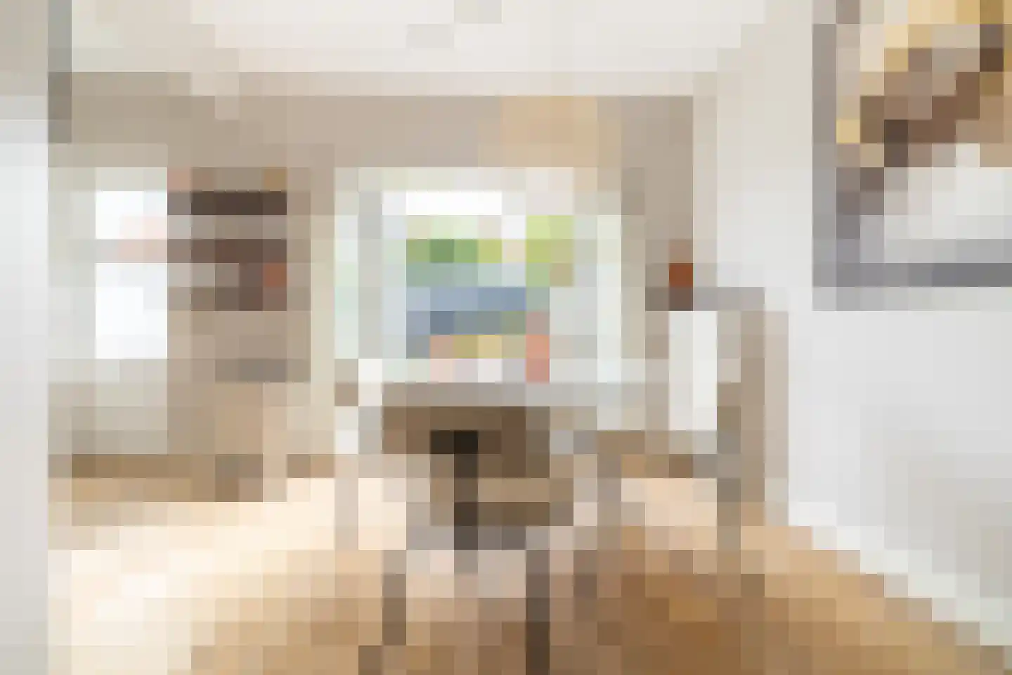 Spadestraat 4 Breda thumbnail 13