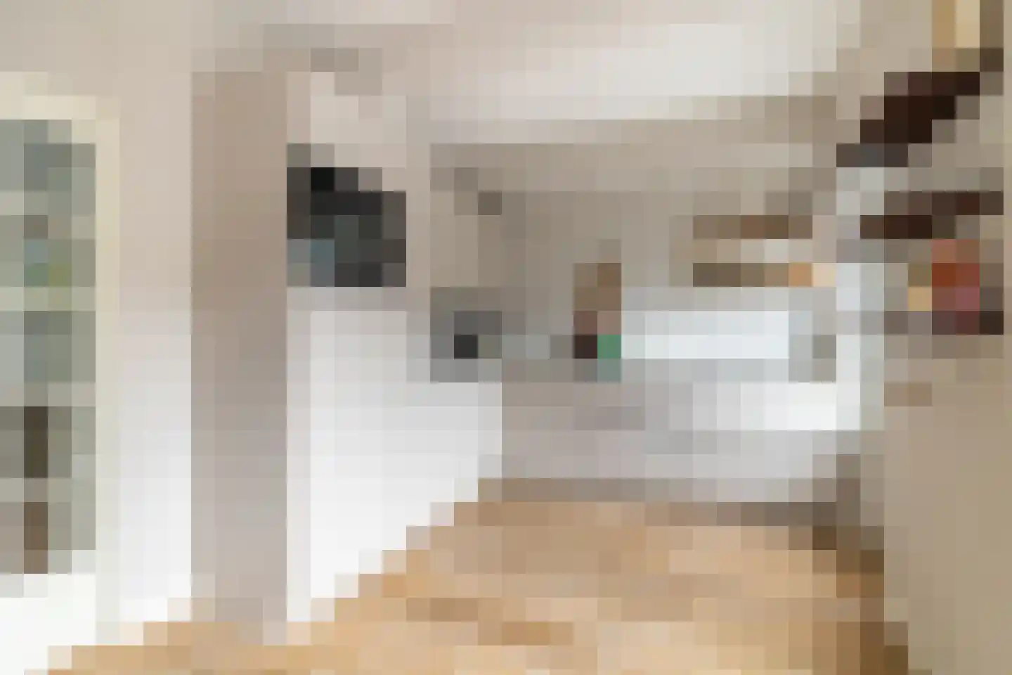Spadestraat 4 Breda thumbnail 15