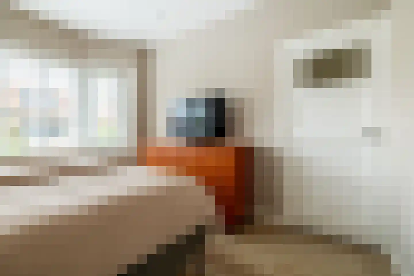 Spadestraat 4 Breda thumbnail 18